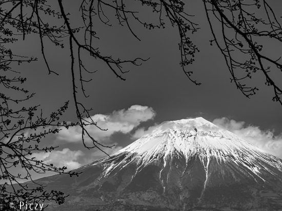 富士山の白黒写真