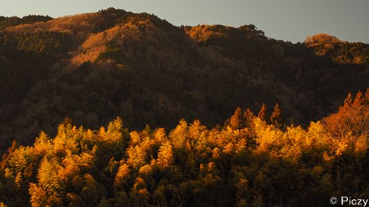 夕日に染まる里山の写真