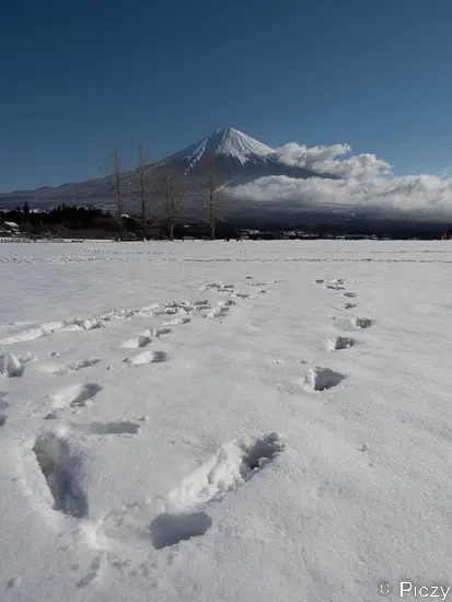 雪の日の富士山の写真