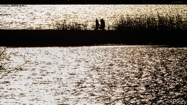 湖面に反射する光とシルエット