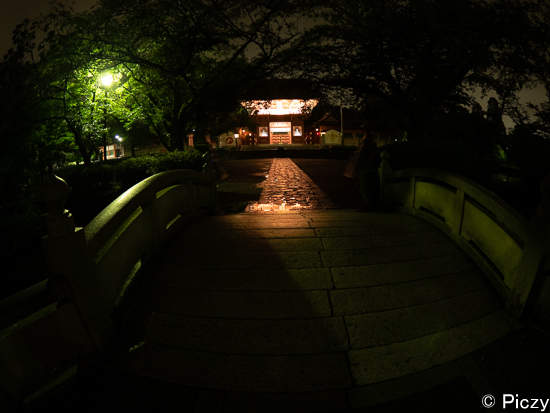 夜の神社の写真