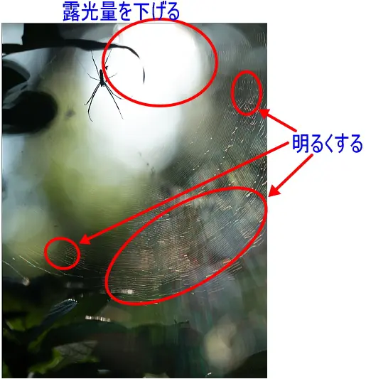 LightroomでのRAW現像のポイント