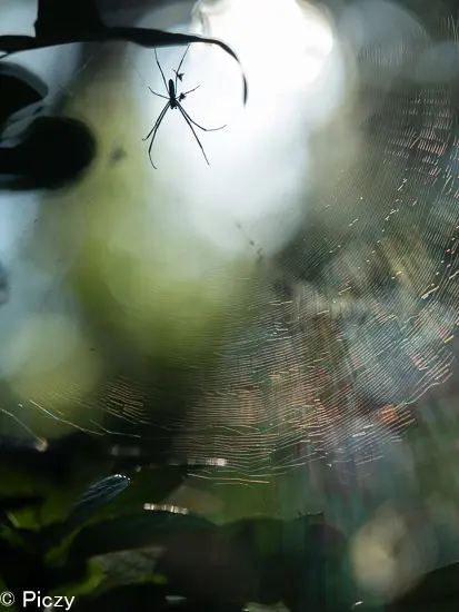 LightroomでRAW現像した写真