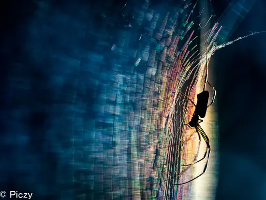 RAW現像した写真