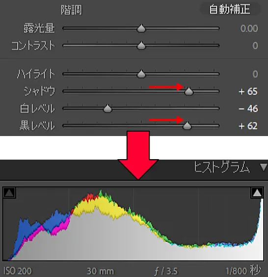 シャドウと黒レベルを上げた結果
