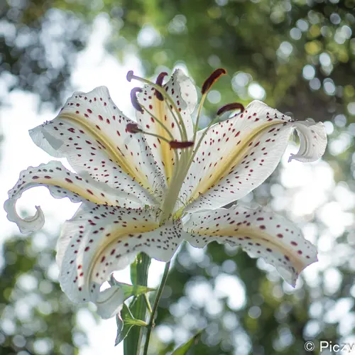 LightroomでRAW現像した写真