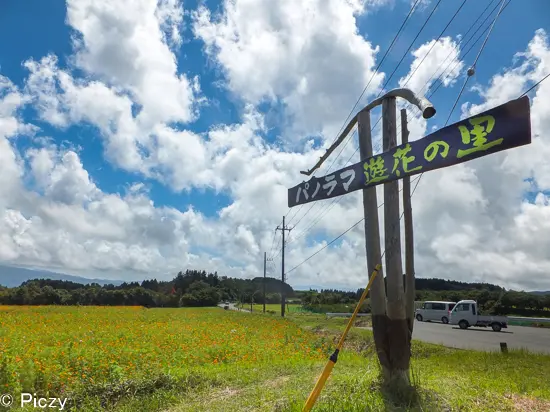 パノラマ遊花の里
