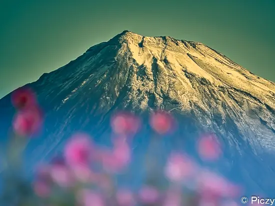 濃淡がある玉ボケ