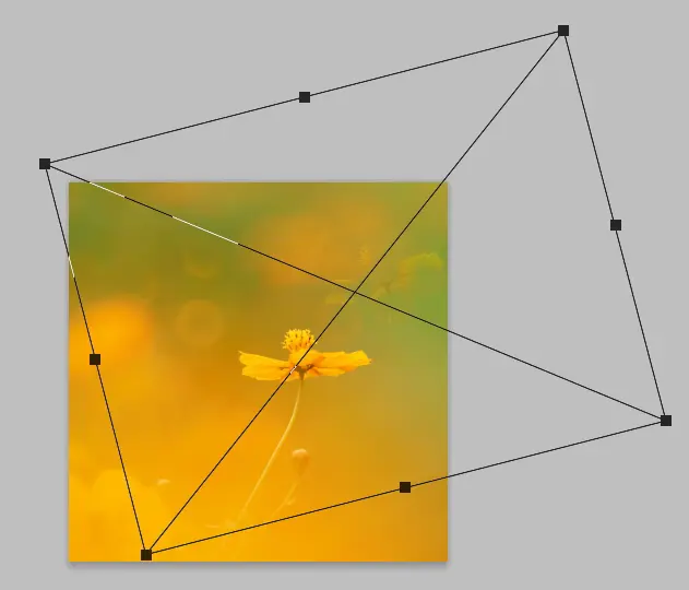 CtrlキーとTキーで拡大・回転させる画面