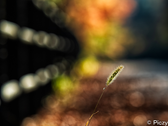 ガードレールの玉ボケを撮影